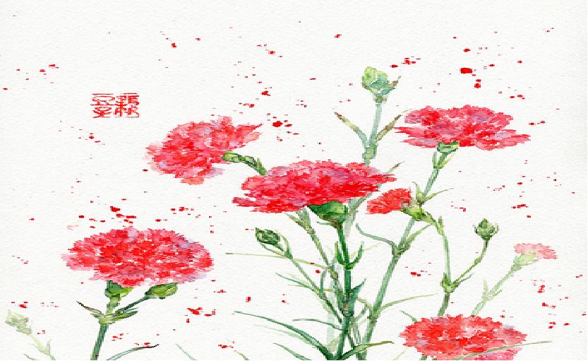 教师节儿童画康乃馨,八岁小孩画简单教师节的绘画