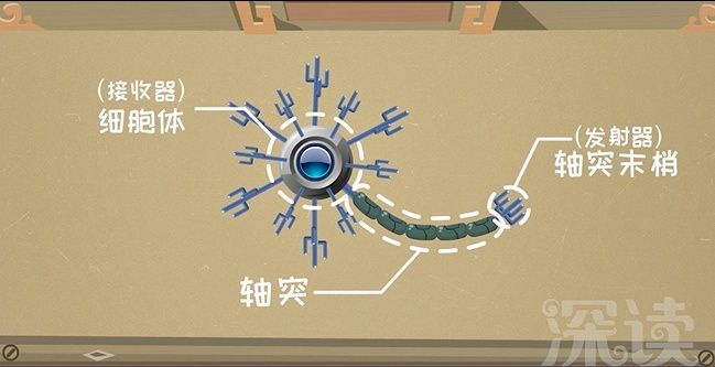 儿童良性癫痫的发病病因,癫痫发病的诱因有哪些