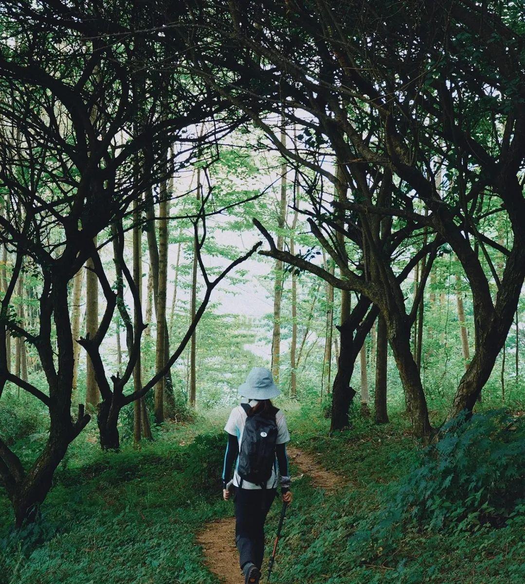 国庆成都周边旅游攻略推荐,成都周边旅游国庆2-3天推荐地方