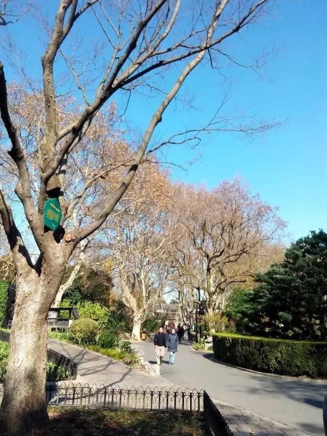 鲁讯公园的湛蓝色天空