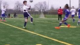 搞笑动图gif表情包可爱,搞笑动图gif图片合集