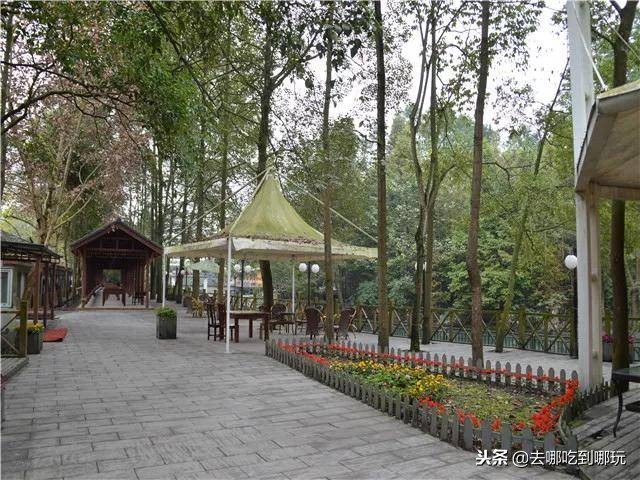 99温泉度假酒店团票,99元抢套房