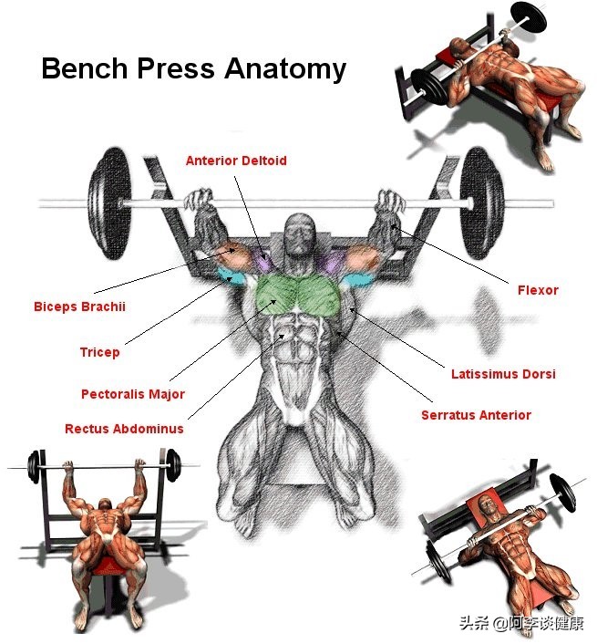 卧推力量上不去？药球仰卧胸推爆发力训练：帮你快速进阶提升力量