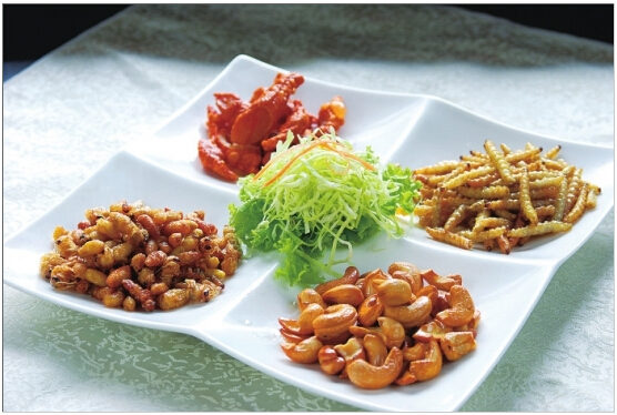 夏天可以吃的虫子有哪些,吃昆虫的虫子有哪些