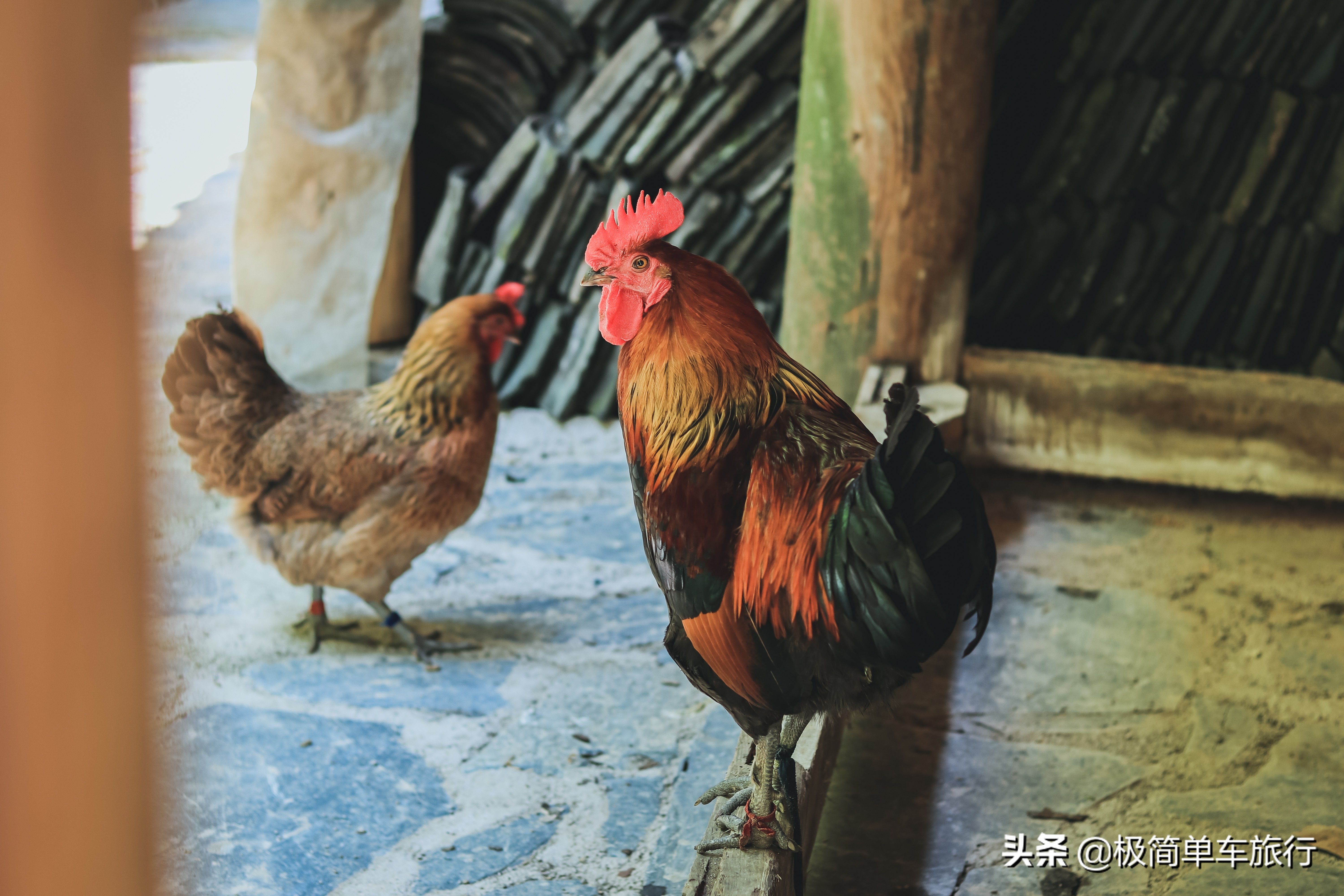 2020乘风破浪,骑行广西贵州之贵州篇:D23:西江-凯里