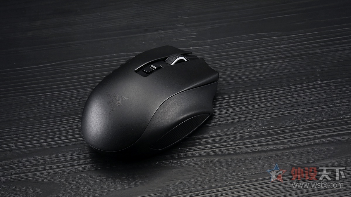 雷蛇那伽梵蛇鼠标宏,雷蛇那伽梵蛇专业版怎么装电脑上