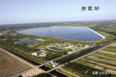 德州乐陵金丝枣,乐陵金丝枣的介绍