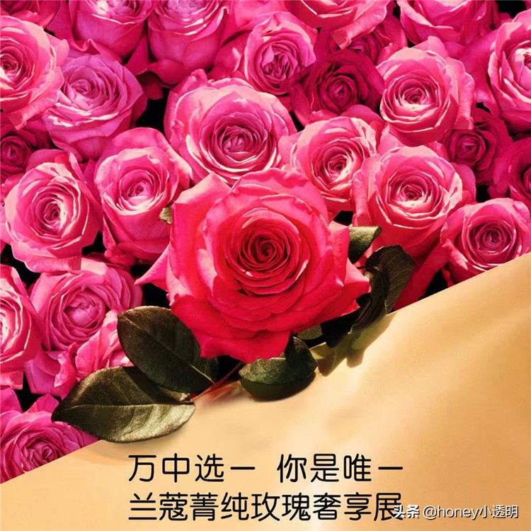 兰蔻复颜抗皱紧致护肤套装,兰蔻奢华菁纯粉霜