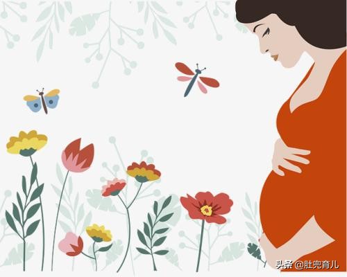 怀孕期间哪些检查是必须要做的,怀孕后需要检查哪些项目及时间