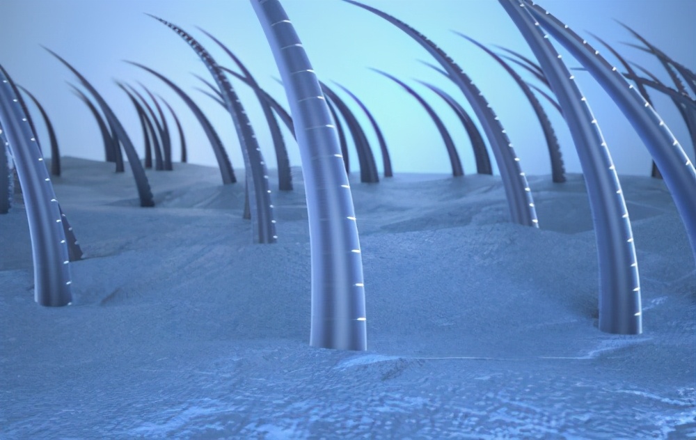 洗发水有香气有没有危害,洗发水能解决什么问题