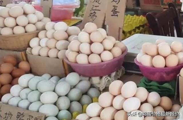 2022到2023年的鸡蛋价格预测,巨鹿县2022年4月23号鸡蛋价格多少