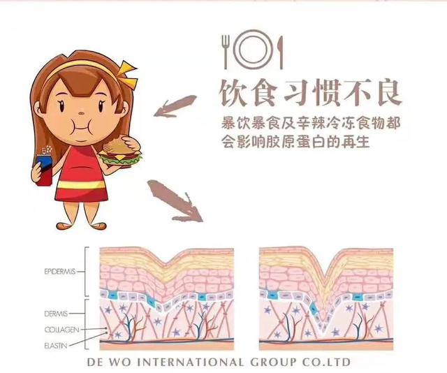 补充胶原蛋白是智商税吗,吃肉皮能补充胶原蛋白吗