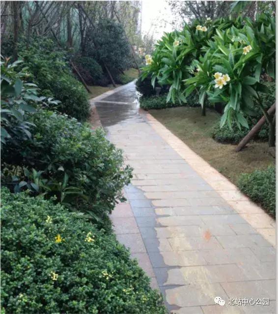 相当于112个足球场的图片,深圳足球公园效果图