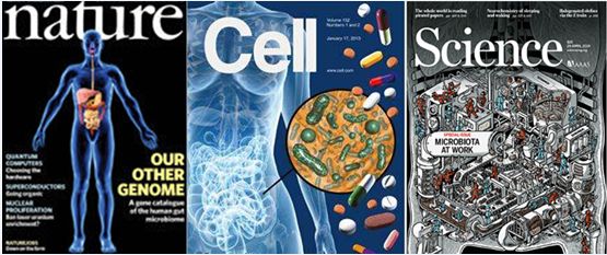 比较火的益生菌,益生菌为什么突然火了