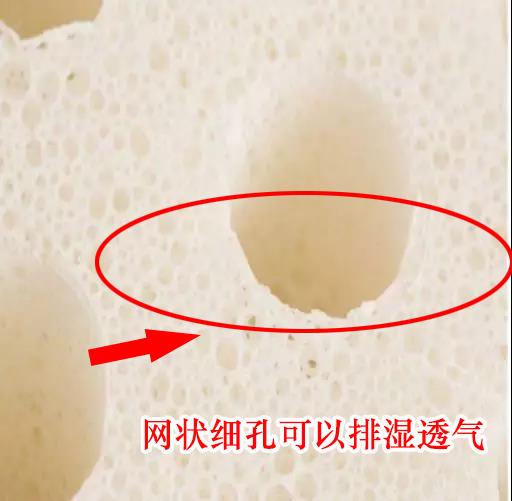 买泰国乳胶枕头被坑了怎么破,泰国买乳胶床垫被坑