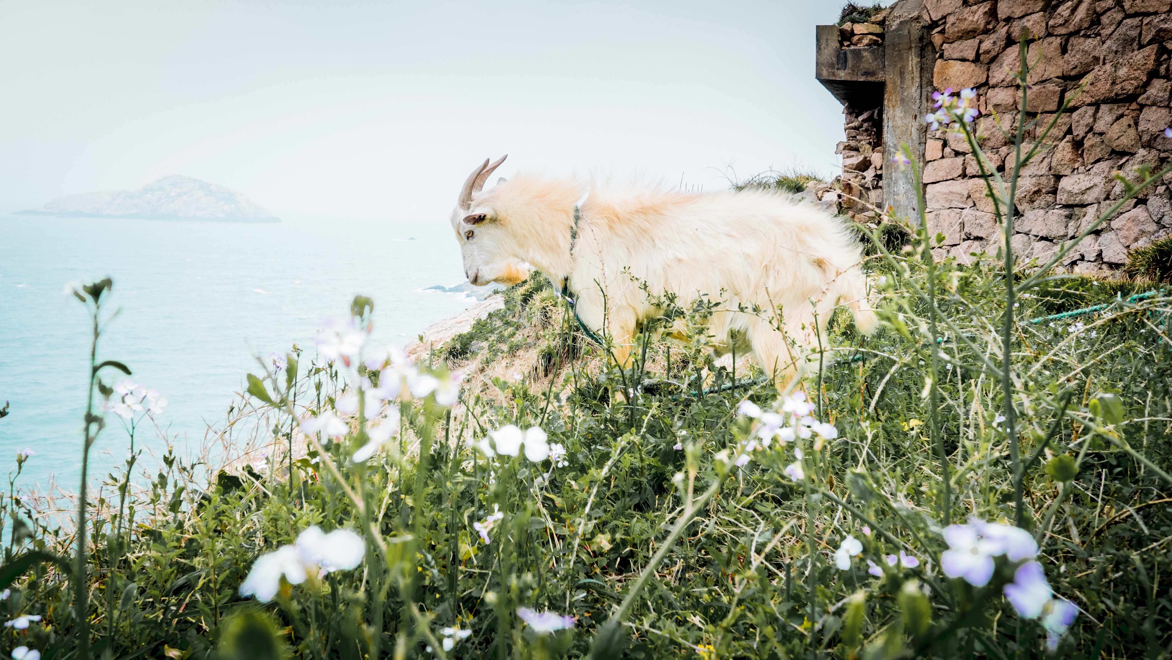 圣托里尼海岛旅游攻略,圣托里尼的绝美海岛