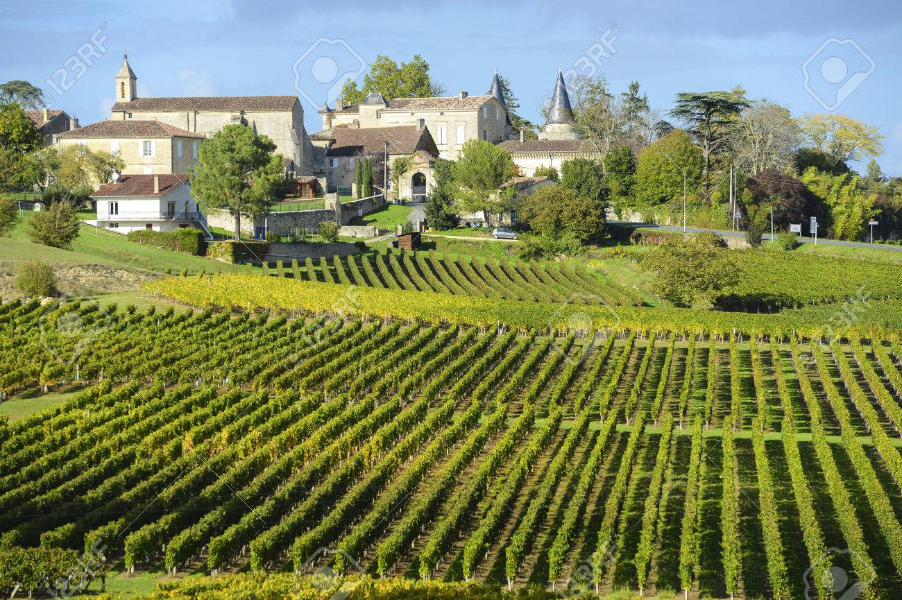 世界最大的葡萄园风景视频,世界上最漂亮的葡萄