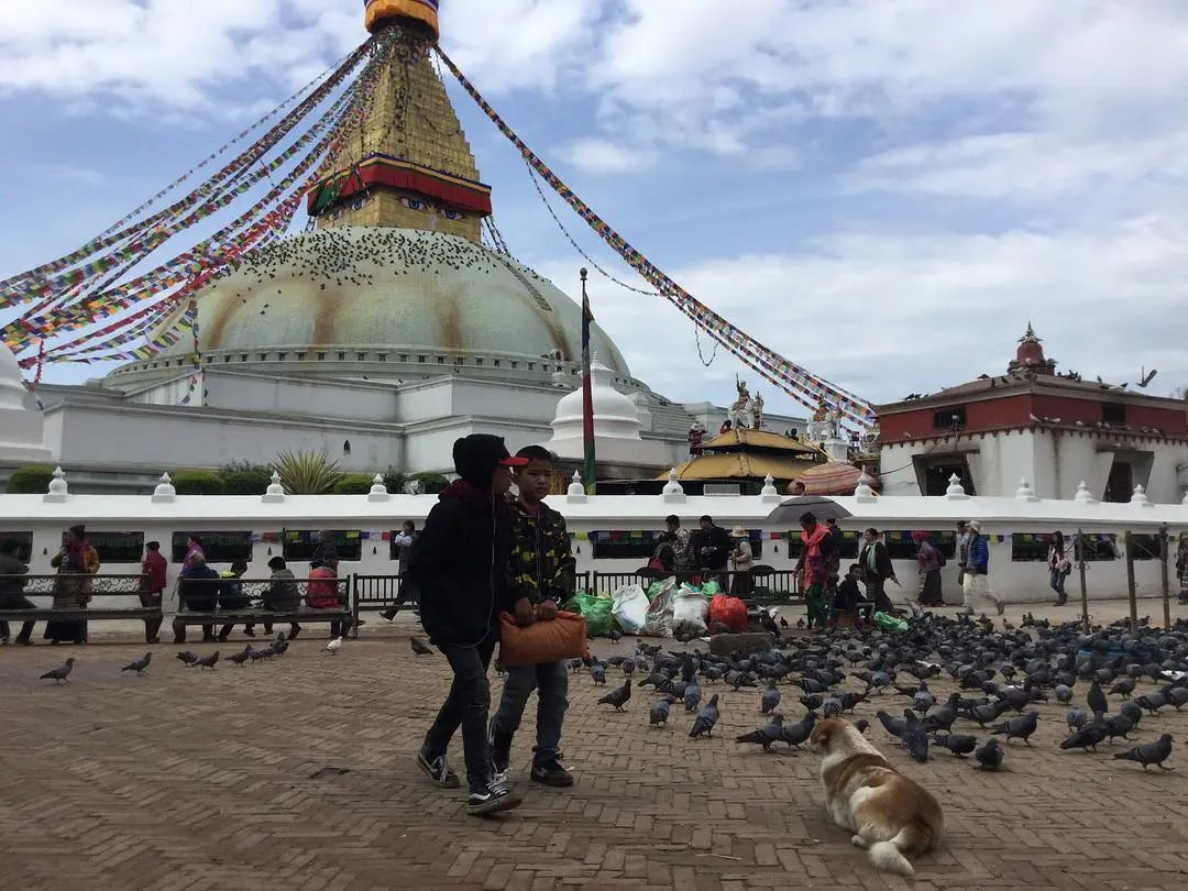 七年环球游西藏尼泊尔,尼泊尔自由行记14