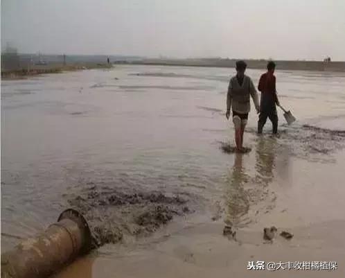 比较靠谱的有机肥,十大骗人的有机肥