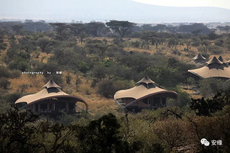 他，百亿富豪，常近乎全裸出现在公共视线里，却被英女王封为爵士