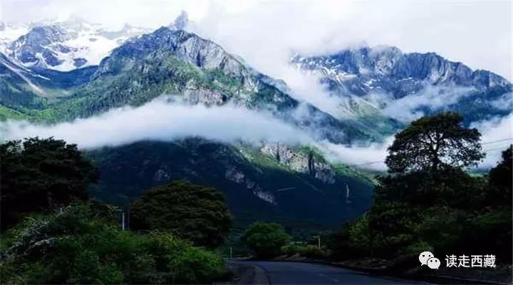 【走*藏西**】羌纳，绿色的海洋
