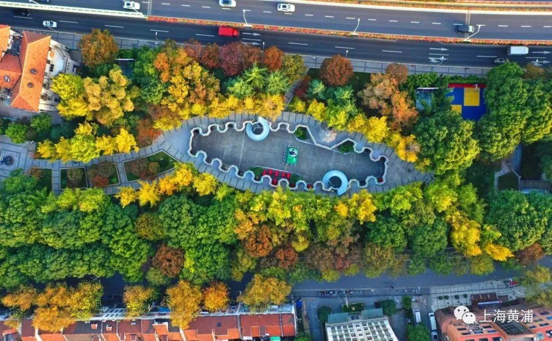 深秋回暖，安排！沪上各区的深秋美景，你准备好打卡了吗？