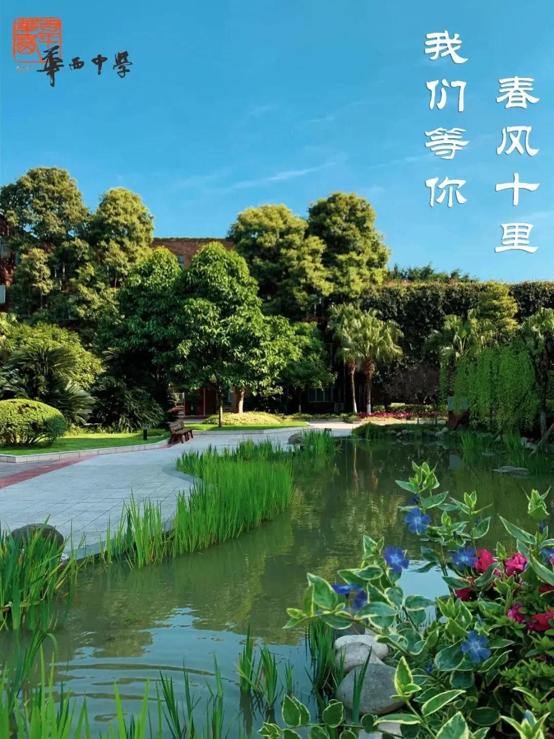 成都各高校附属小学,成都各大学的附属学校