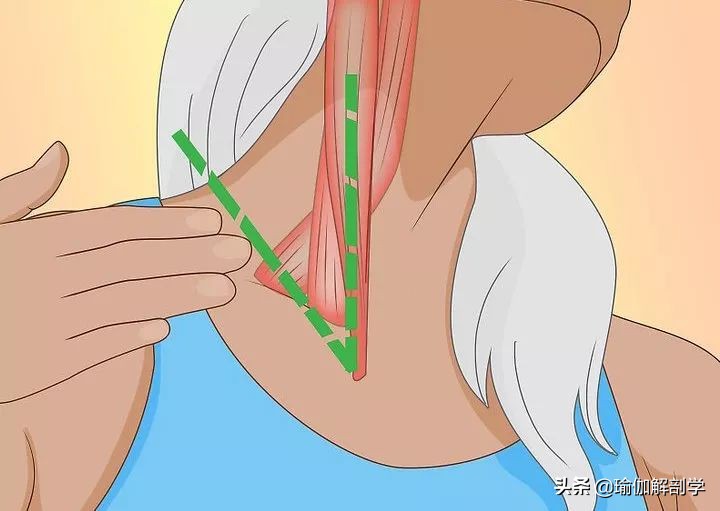 头前引怎么练体态,练瑜伽后显老怎么办
