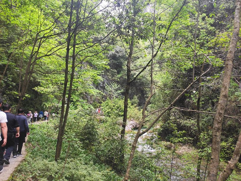 西安去石泉县两日游旅游景点,石泉县两日游