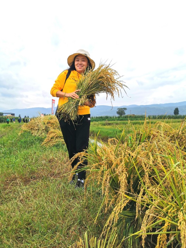 寻甸渔乐谷最新消息,寻甸欢乐世界项目大全
