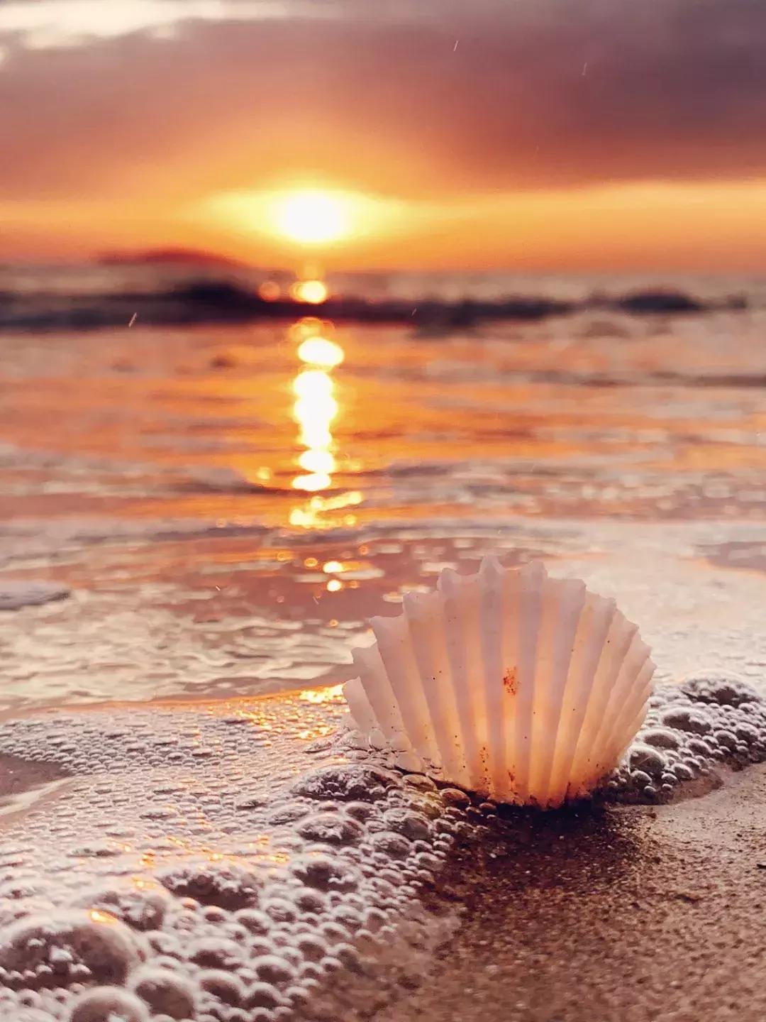 iphone13相机最佳设置,iphone12pro相机设置