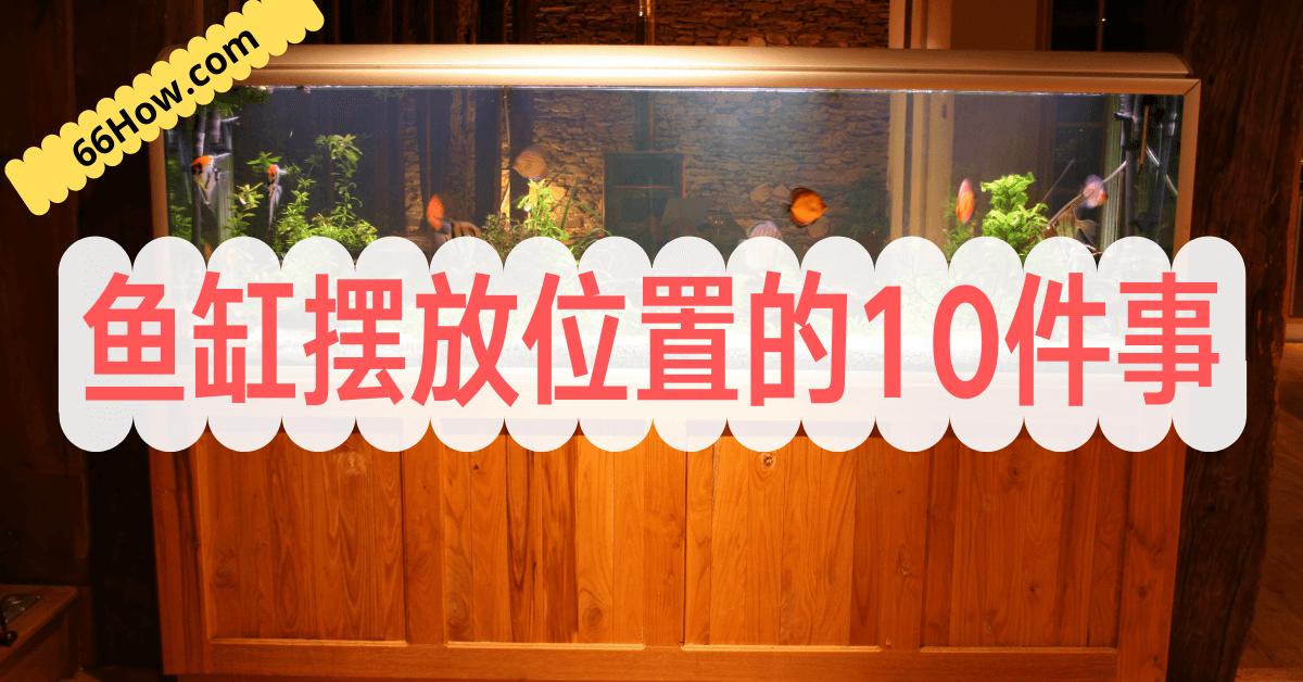 鱼缸的正确摆放位置哪里最佳,鱼缸位置摆放的正确方法图