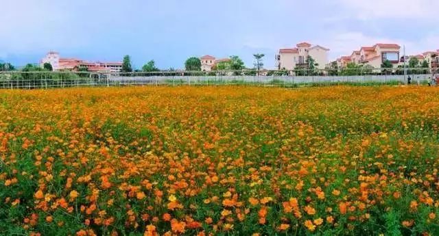 周末2日游广东,惠州2天1夜旅游大亚湾