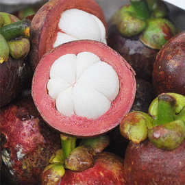 越南的特色水果,越南十大特色水果推荐