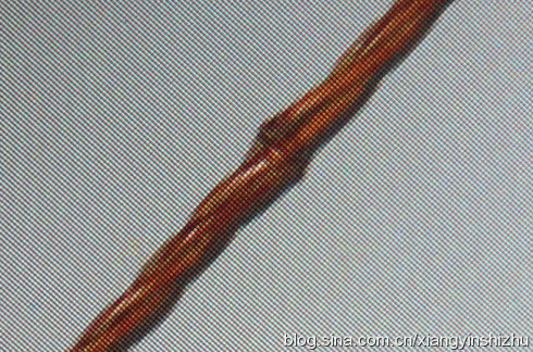 竹手杖图片,最好的竹手杖