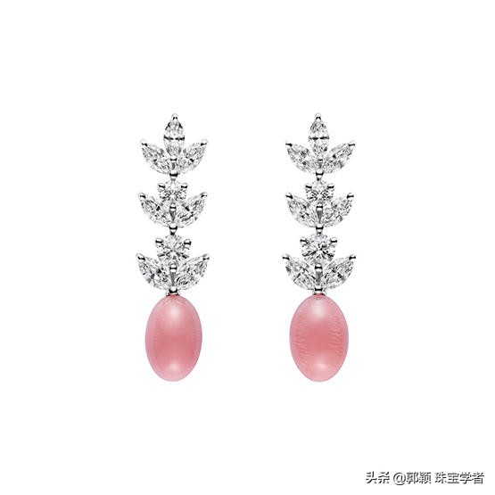 珍珠的贝壳妈妈,珍珠的妈妈叫什么