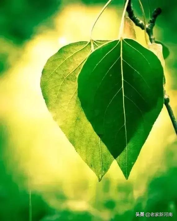 南怀瑾说不尊重你的朋友,南怀瑾无论遇到什么你应保持平静