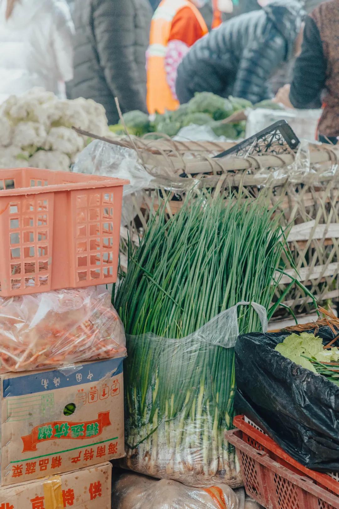 沙河边的野生菜市，是成都嬢嬢的狂欢现场