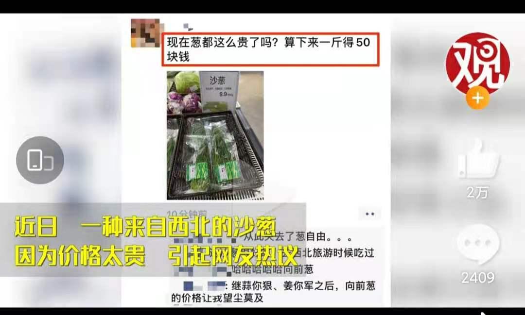 野生沙葱味道怎么样,沙葱为啥有苦味