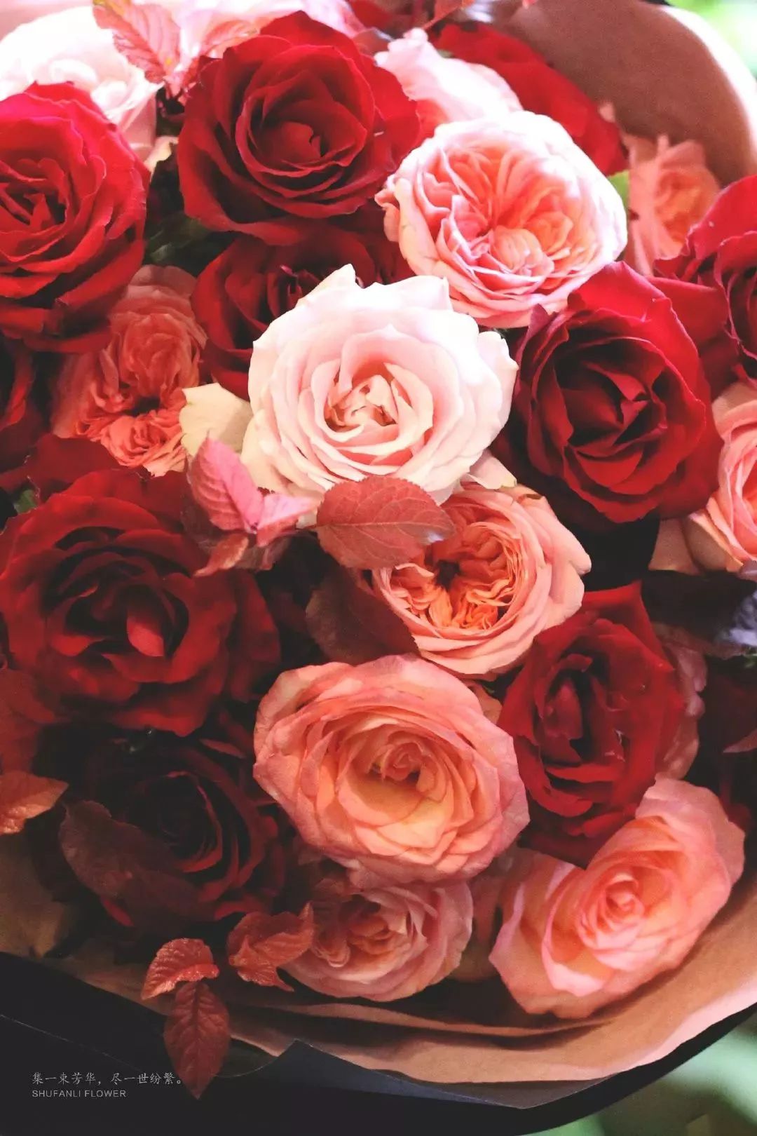 教师节应该给老师送什么花,教师节到了送什么花给老师好呢