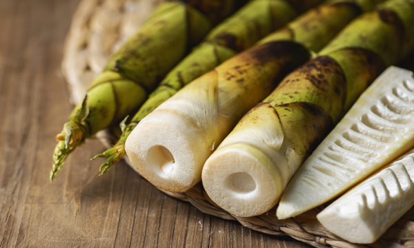 宜宾市送人特产,宜宾市特产购买