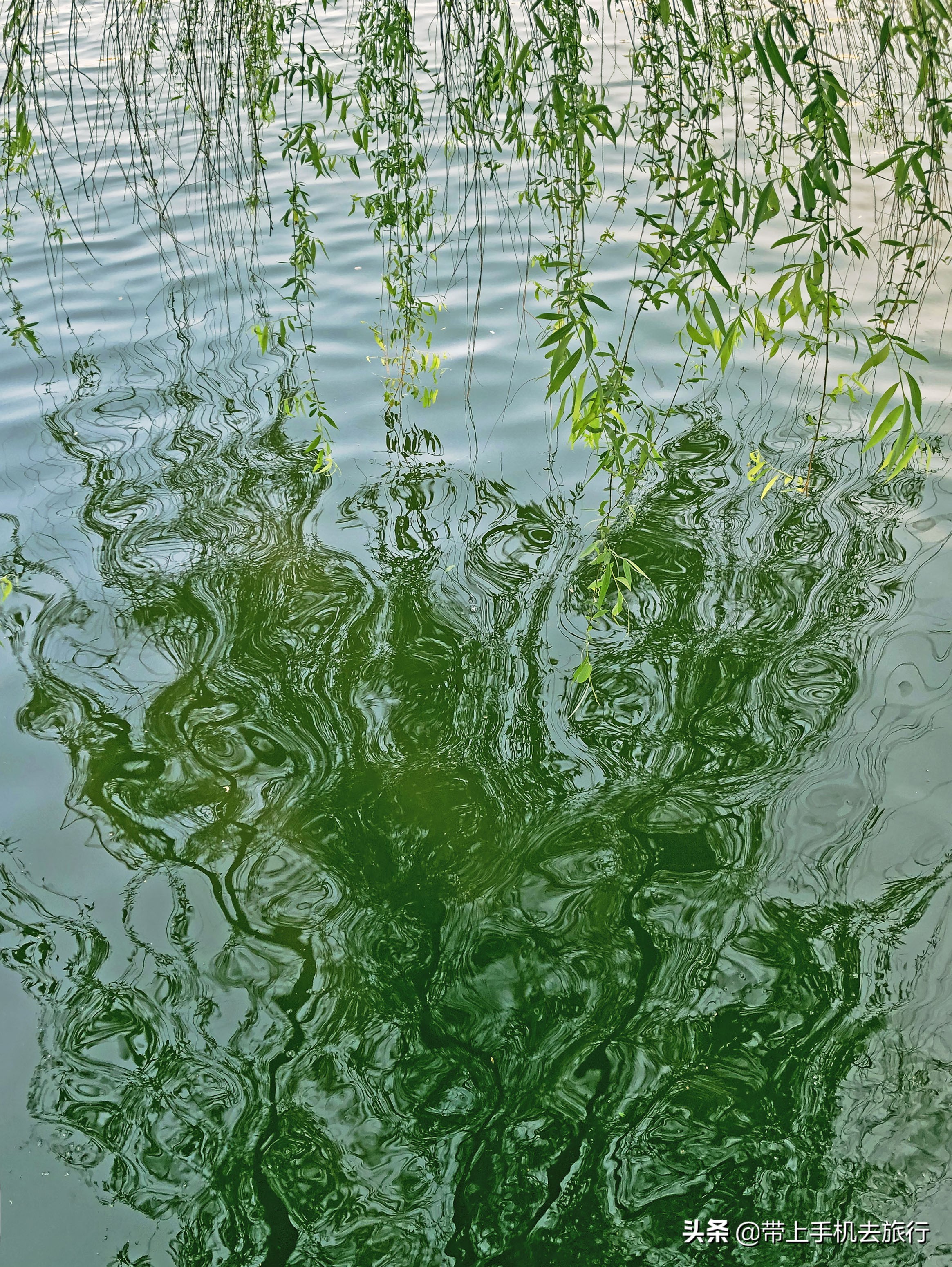 手机拍摄照片如何镜面反射,手机拍照怎样调节镜面反射