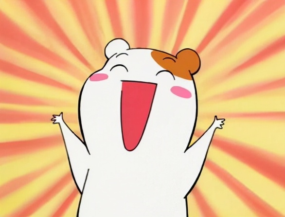 黄皮书需要手译本吗,黄皮书手译