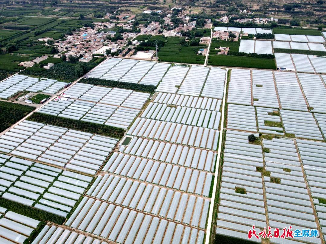 2024先进基层党支部申报事迹材料,2024年先进党支部事迹材料