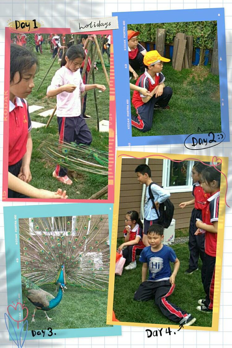 我的学校我的班级介绍怎么写,我的学校我的班图片