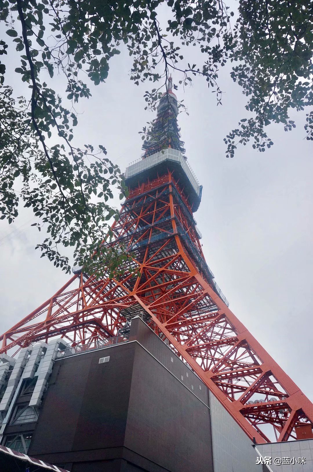 东京富士山镰仓一日游,东京旅游攻略镰仓一日游