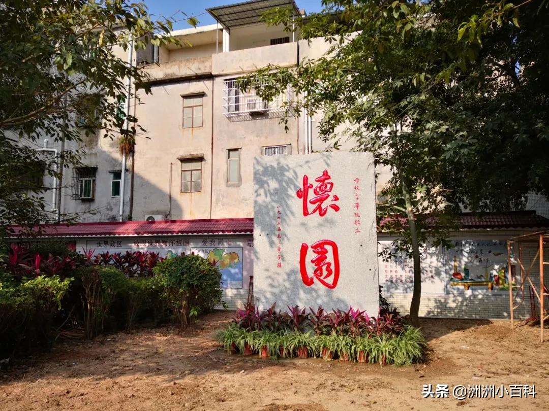 新兴县华侨中学学校介绍,新兴华侨中学历史