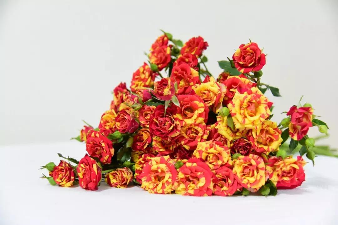 那些年你爱过的小说女配,那些年你爱过的老歌