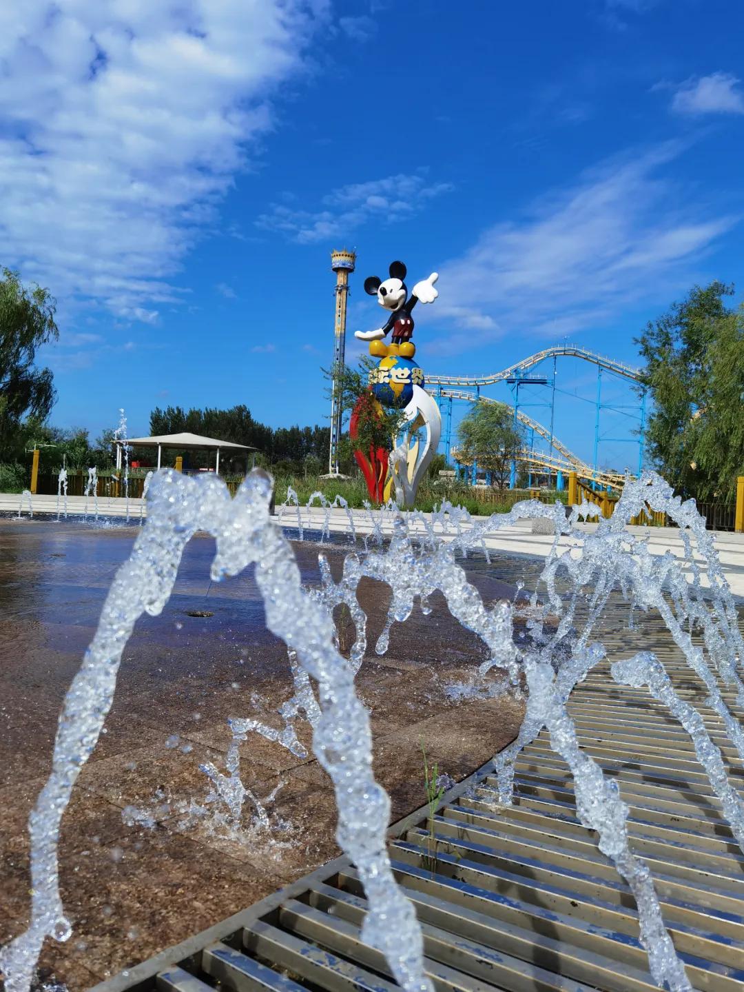 甘露花海最美打卡地点,花海风光打卡地