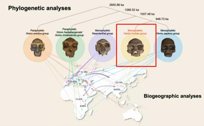 人类史要重写？我国发现了新人种“龙人”，为什么后来消失了？